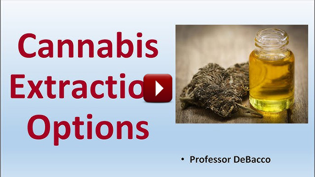 cannabis extraction options